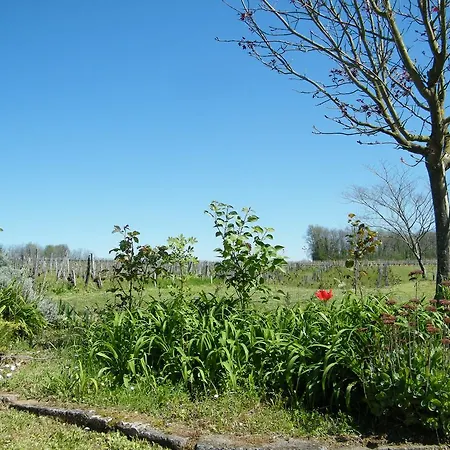 펜션 Clos Vieux Rochers Vineyard 퓨이스게인