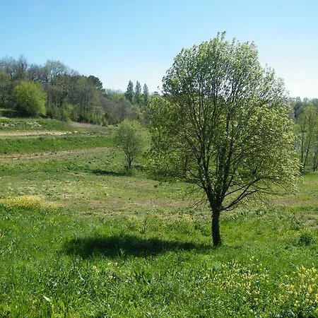 בית נופש Clos Vieux Rochers Vineyard Puisseguin