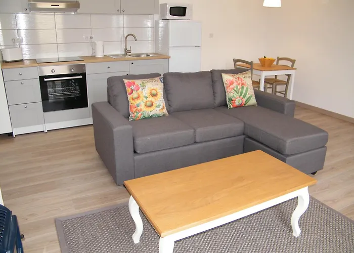 Clos Vieux Rochers Vineyard ピュイスガン